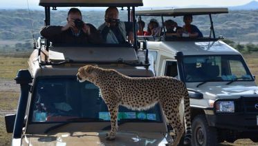 Arusha Milli Parkı: Özel Jeep Turu